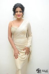 Vishakha Singh at Rowdy Fellow Movie Audio Launch